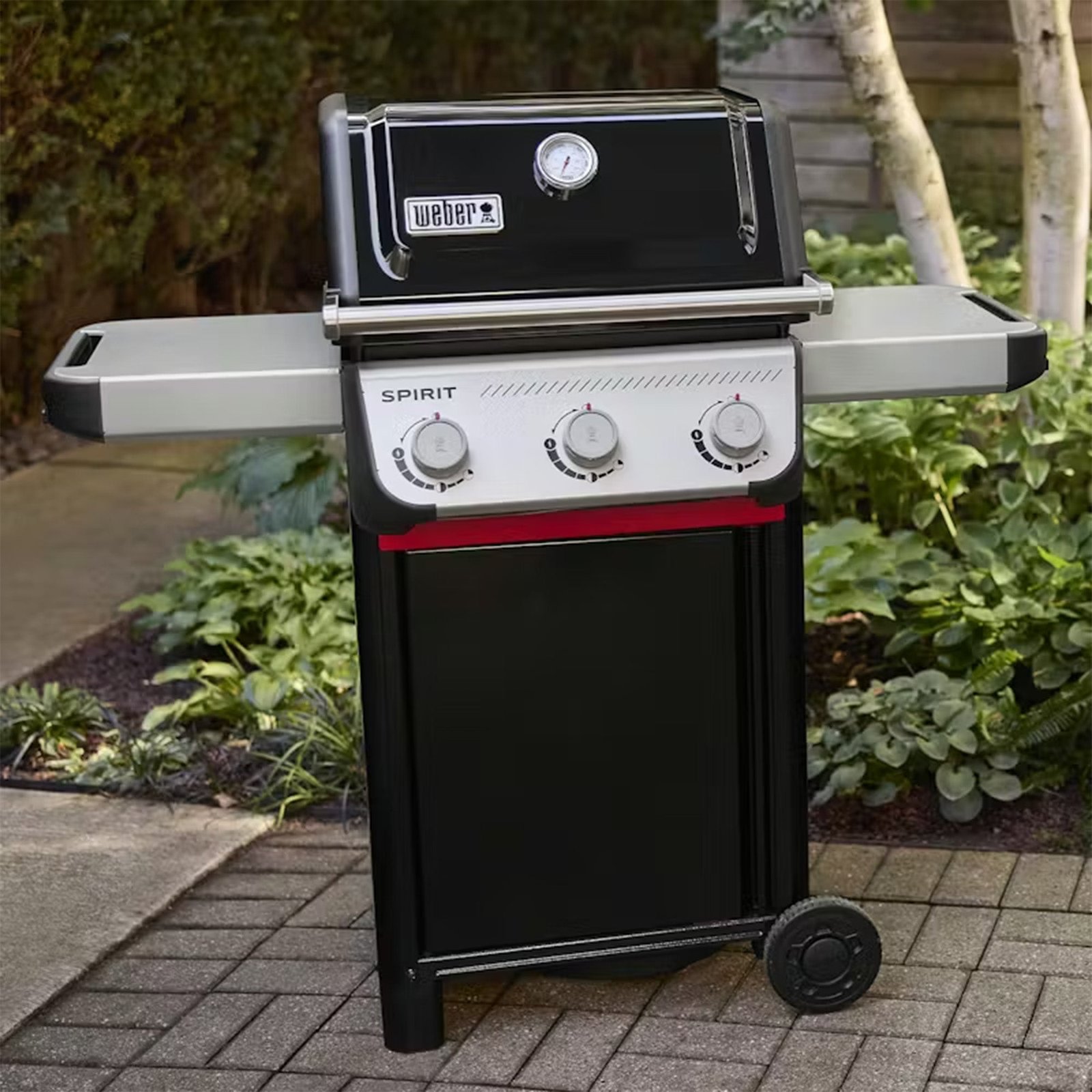 Weber_SpiritE315_01-1.jpg